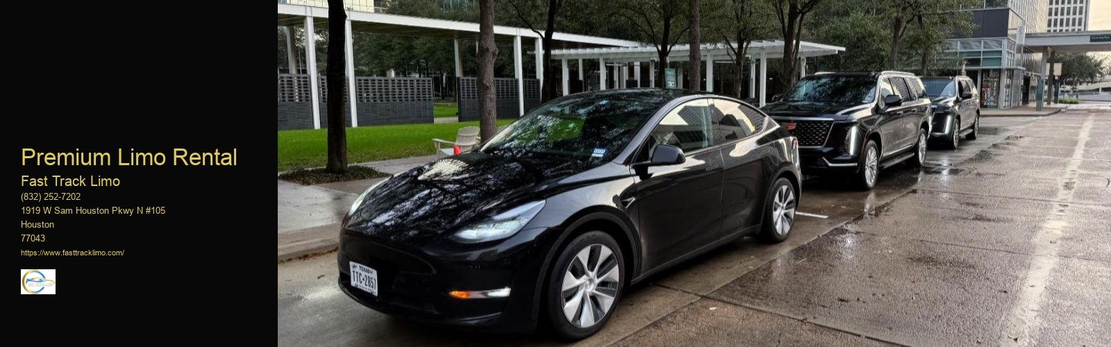Premium Limo Rental